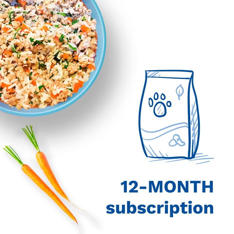 a graphic that says "12-month subscription"