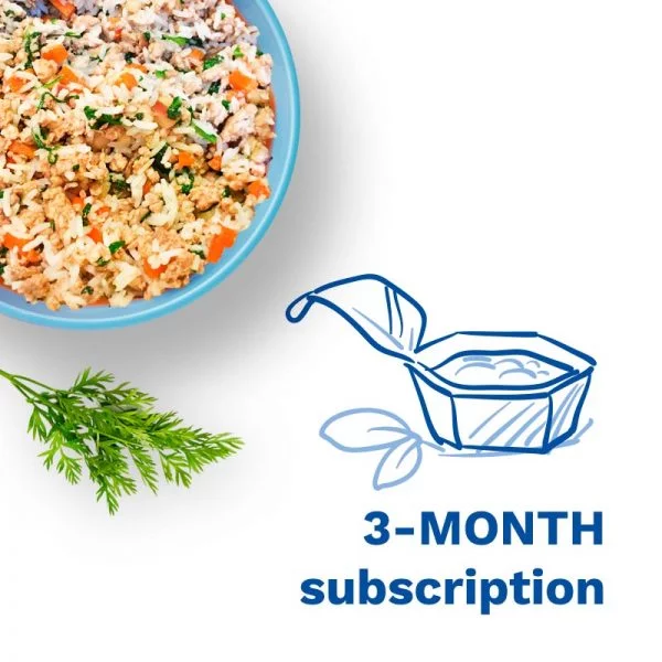 a graphic that says "3-month subscription"