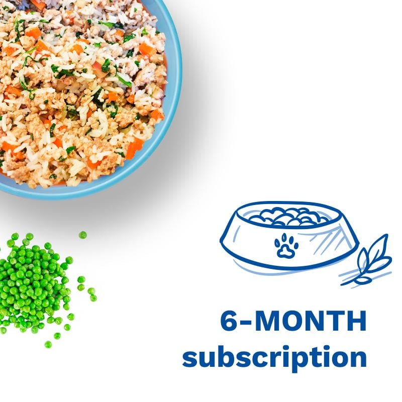 a graphic that says "6-month subscription"