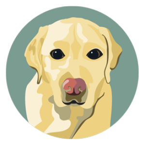 Yellow dog deli logo